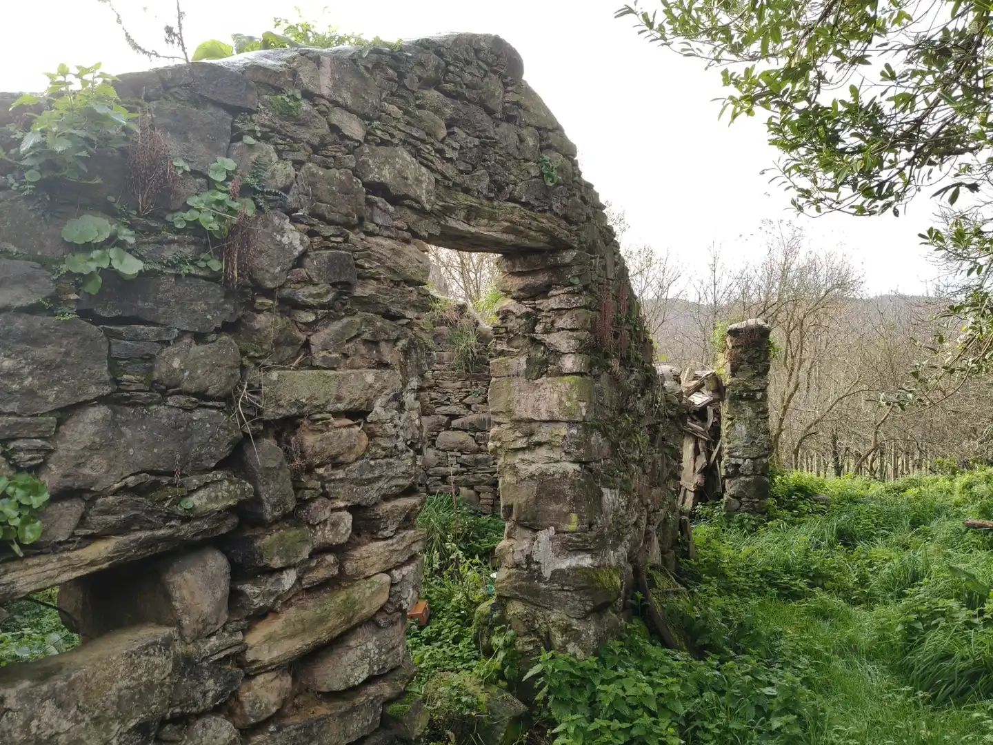 Country house with garden for sale in Cedeira, imagen 11