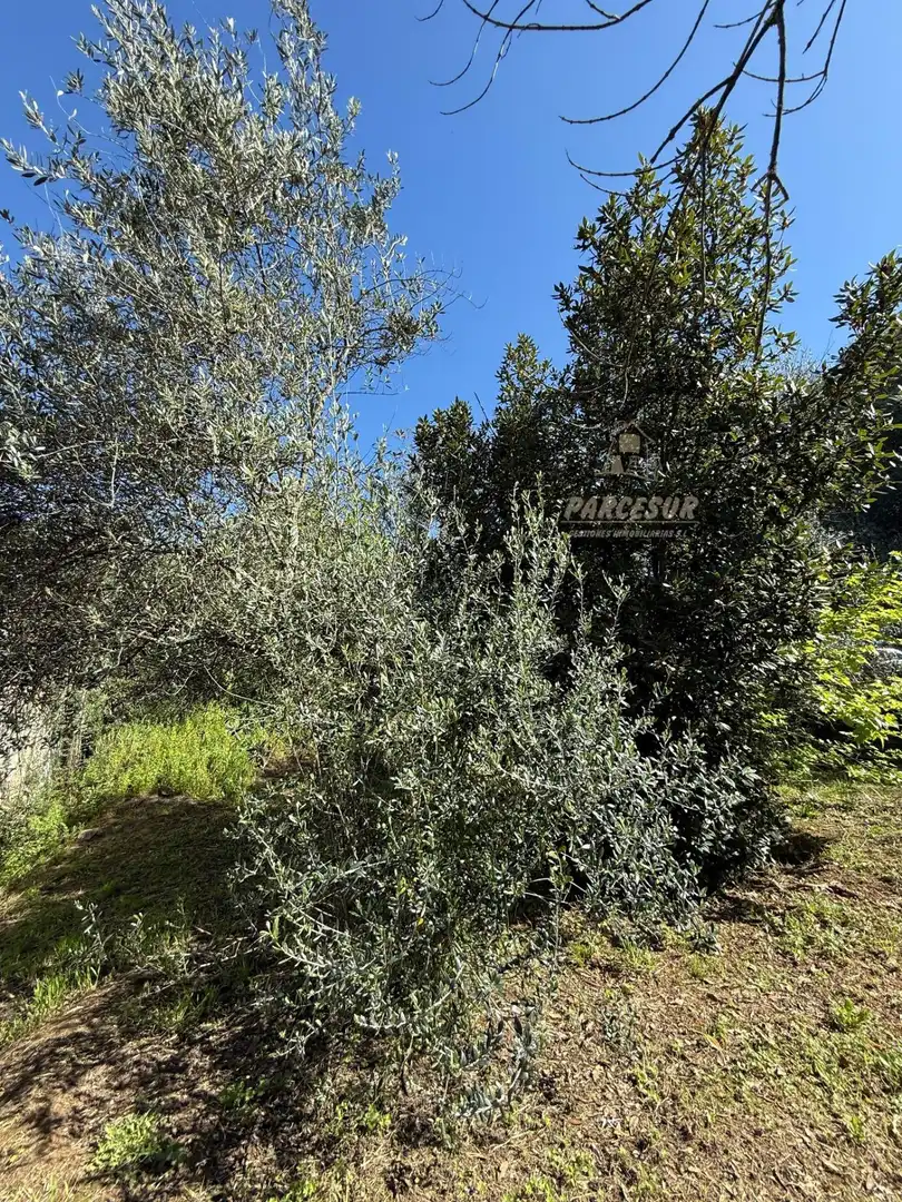 Maison à vendre à Almodóvar del Río, imagen 8