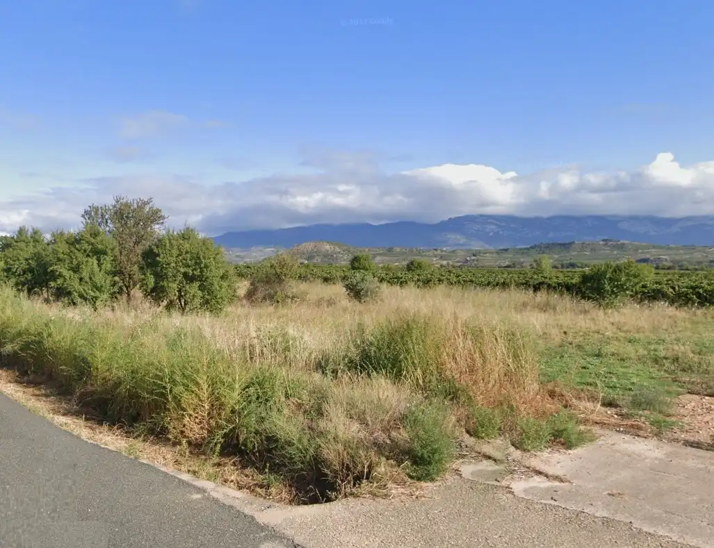 Terreny rústic en venda a Cenicero, imagen 2
