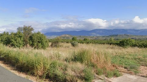 Finca de regadío, imagen 2
