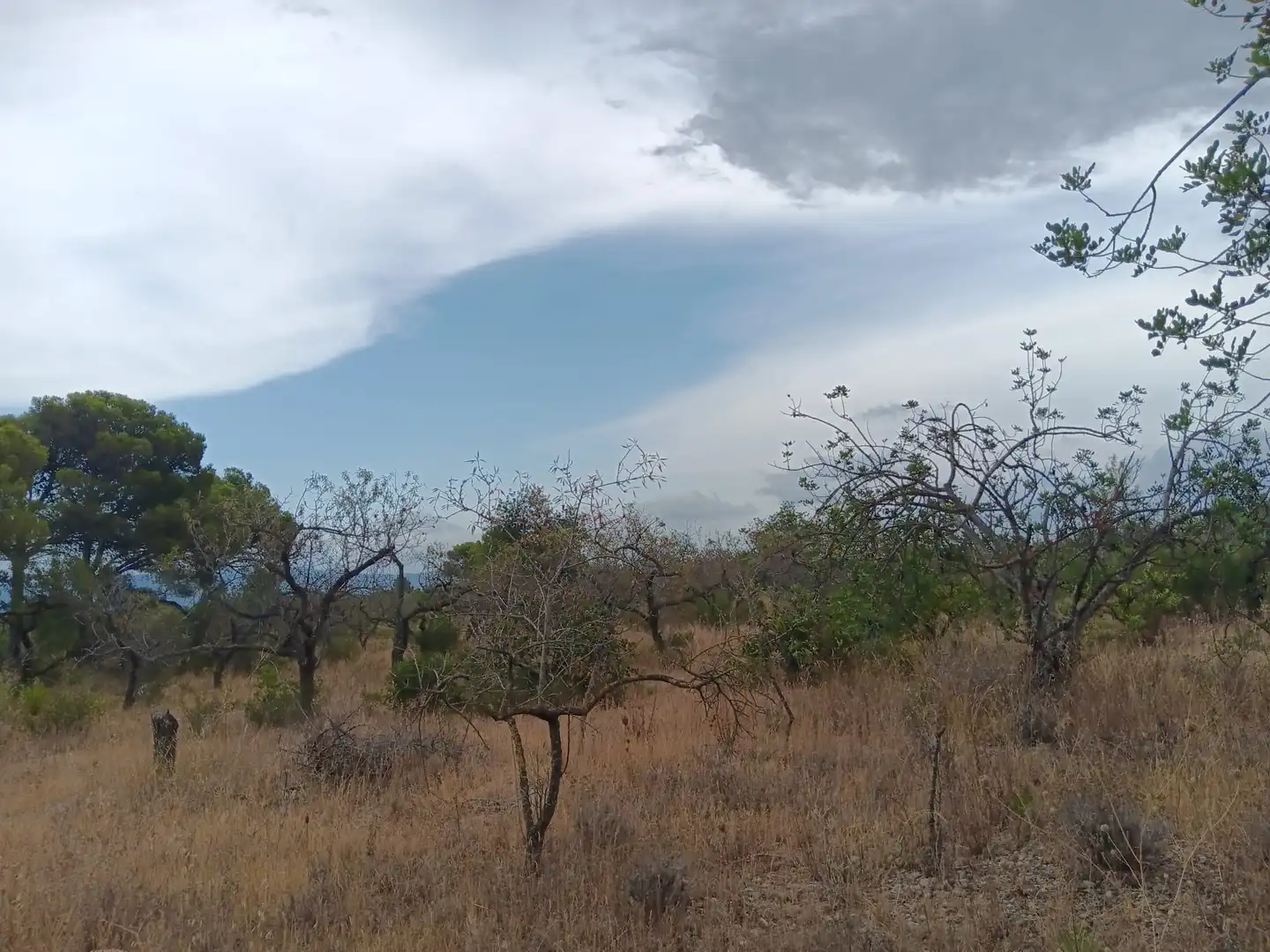 Lands and plots for sale in Roquetes, imagen 13