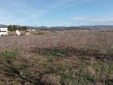 Terreno rustico in vendita a Calle Diseminado Diseminados, 24