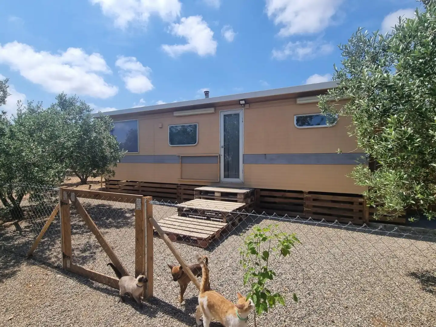 Vista exterior de Finca rústica en venda en Reus amb Calefacció, Terrassa i Moblat