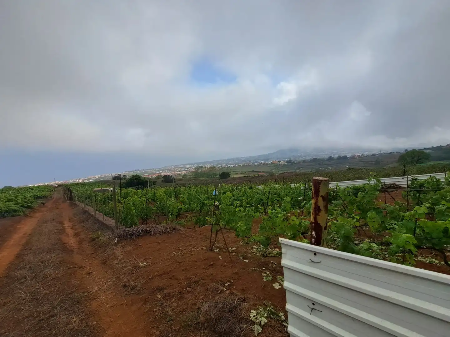 Rural land for sale in El Sauzal, imagen 11