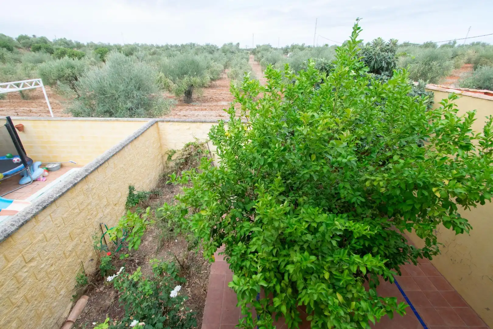 Casa bifamiliare con giardino in vendita a Villanueva del Ariscal, imagen 16