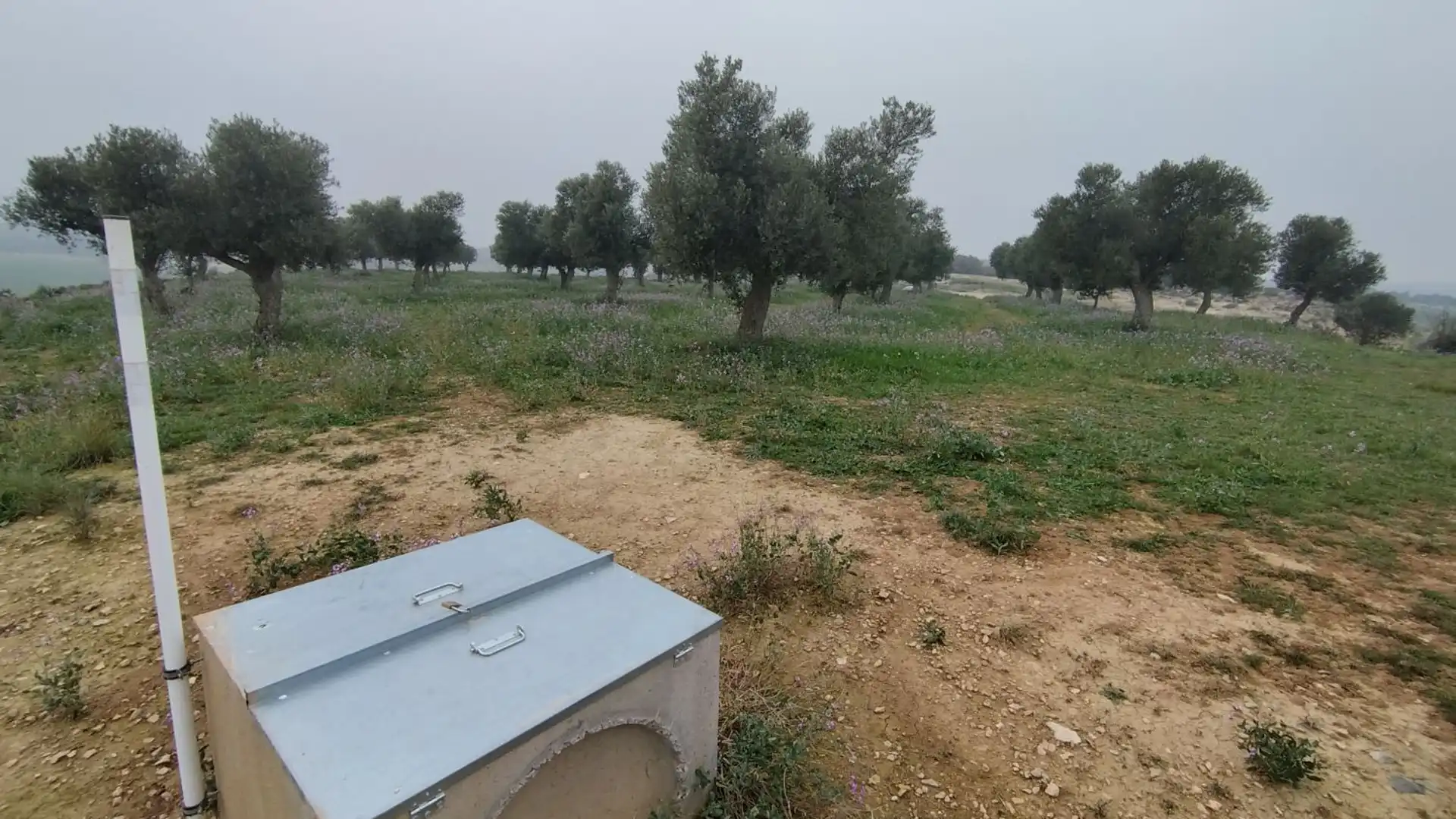 Finca rústica en venda en Aitona