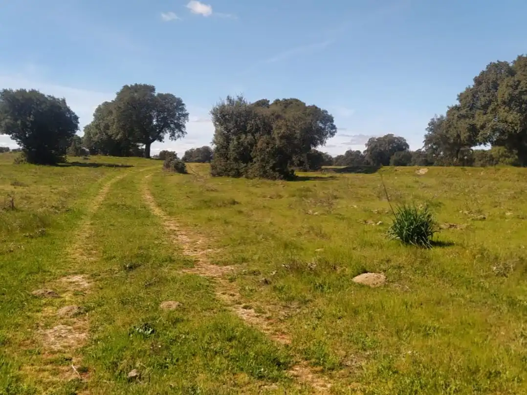 Grundstücke zum Verkauf in Nombela