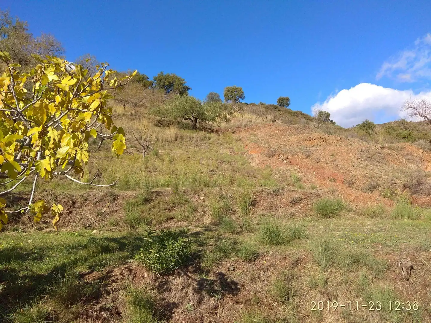 Terrains et parcelles à vendre à Ojén pueblo, imagen 8