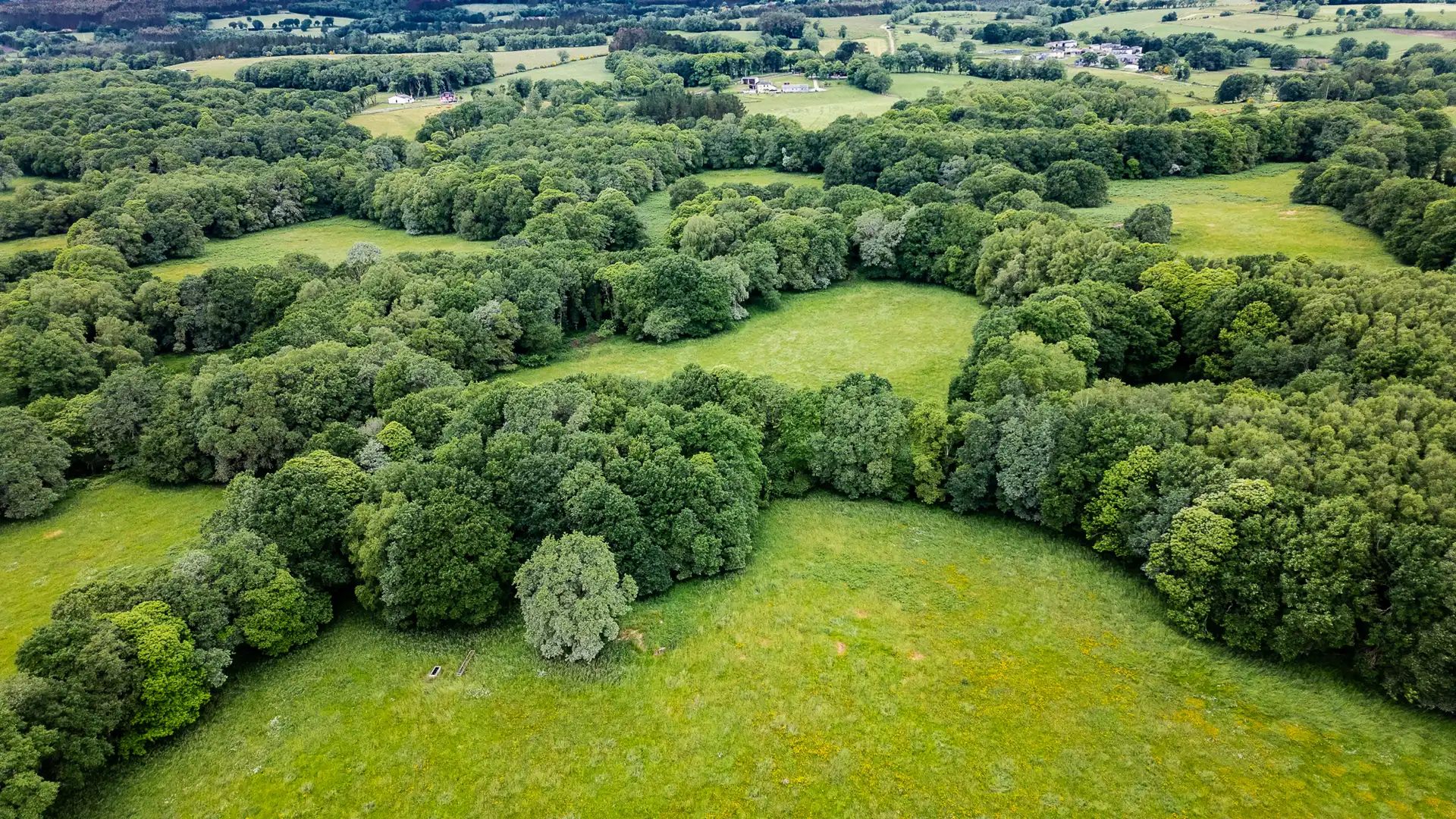 Finca rústica en venta en Friol