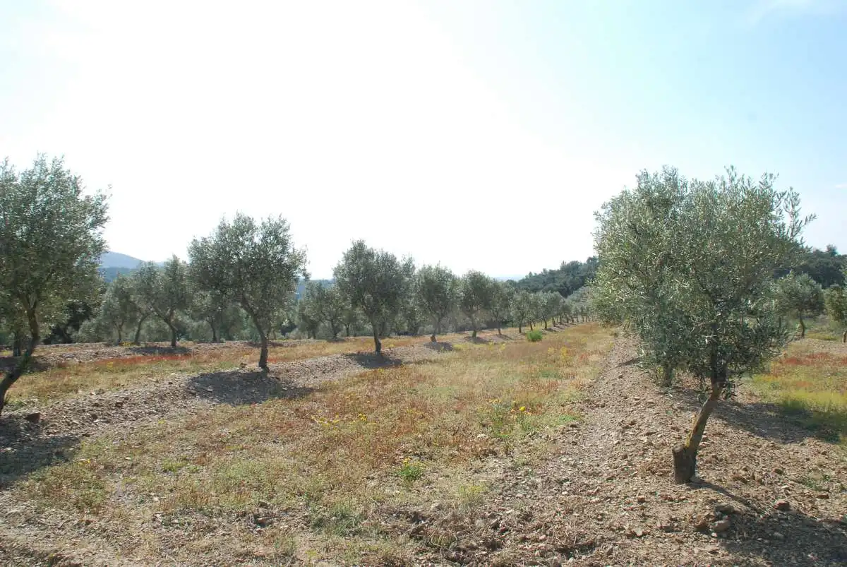 Lands and plots for sale in Garriguella