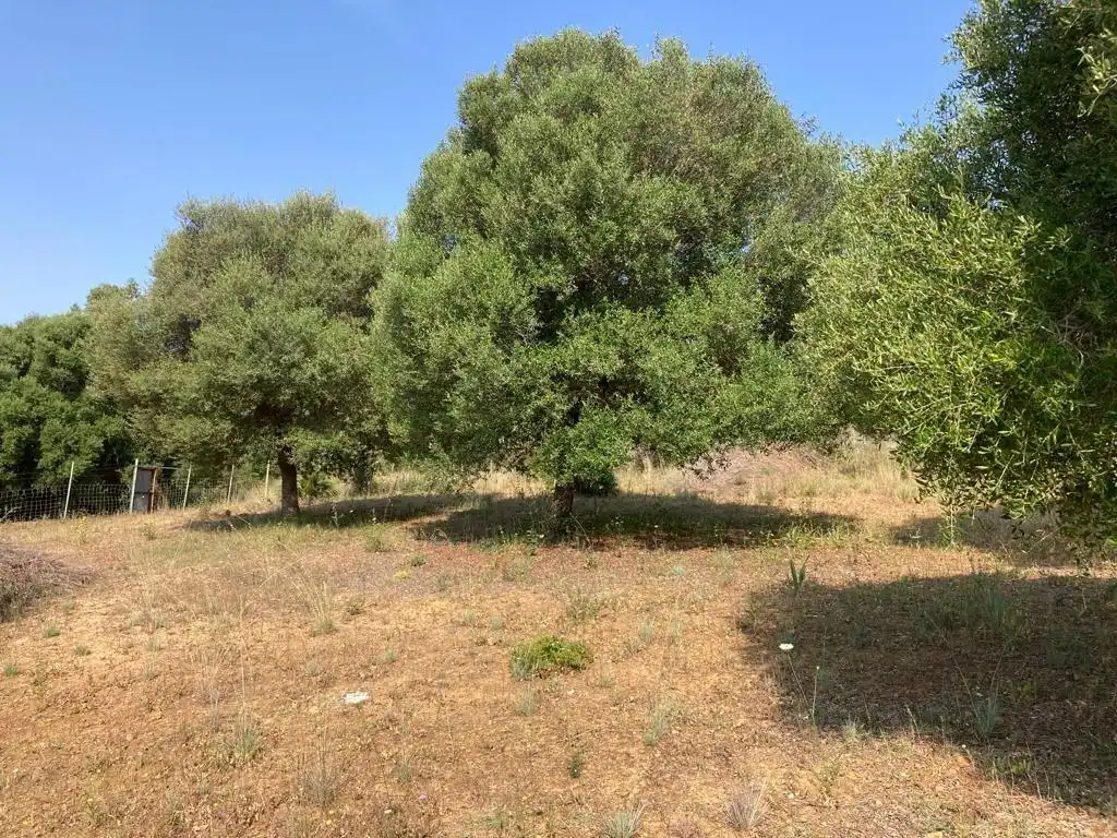 Finca rústica en venda en La Alcaidesa