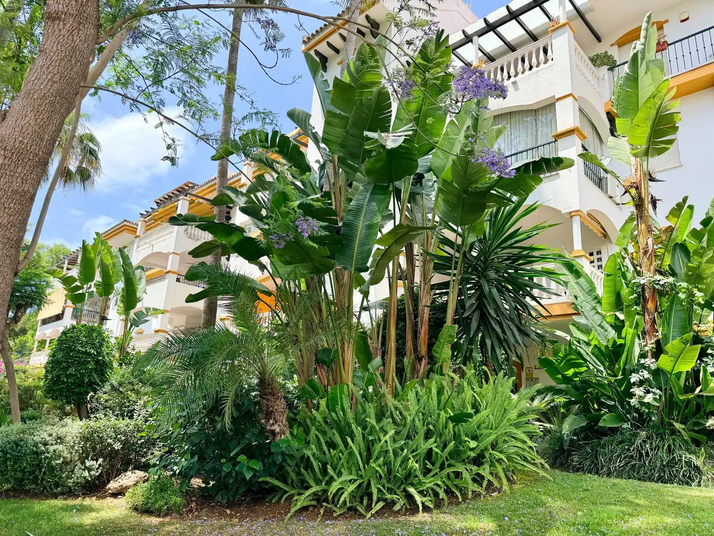 Jardí de Apartament de lloguer en Marbella amb Aire condicionat, Moblat i Piscina comunitària