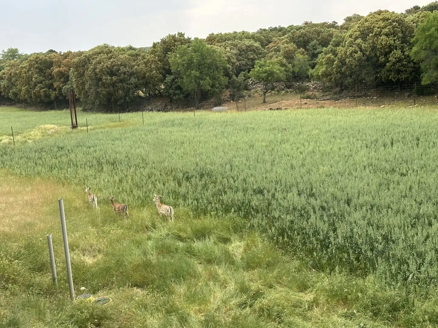 Finca rústica en venta en Masegoso con Aire acondicionado y Calefacción