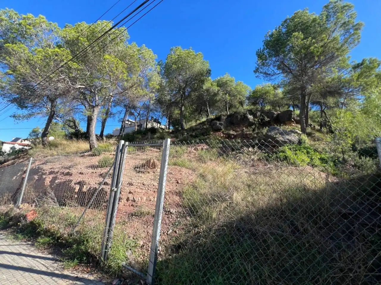 Terreny rústic en venda a Camino Estació DE VACARISSES, imagen 3