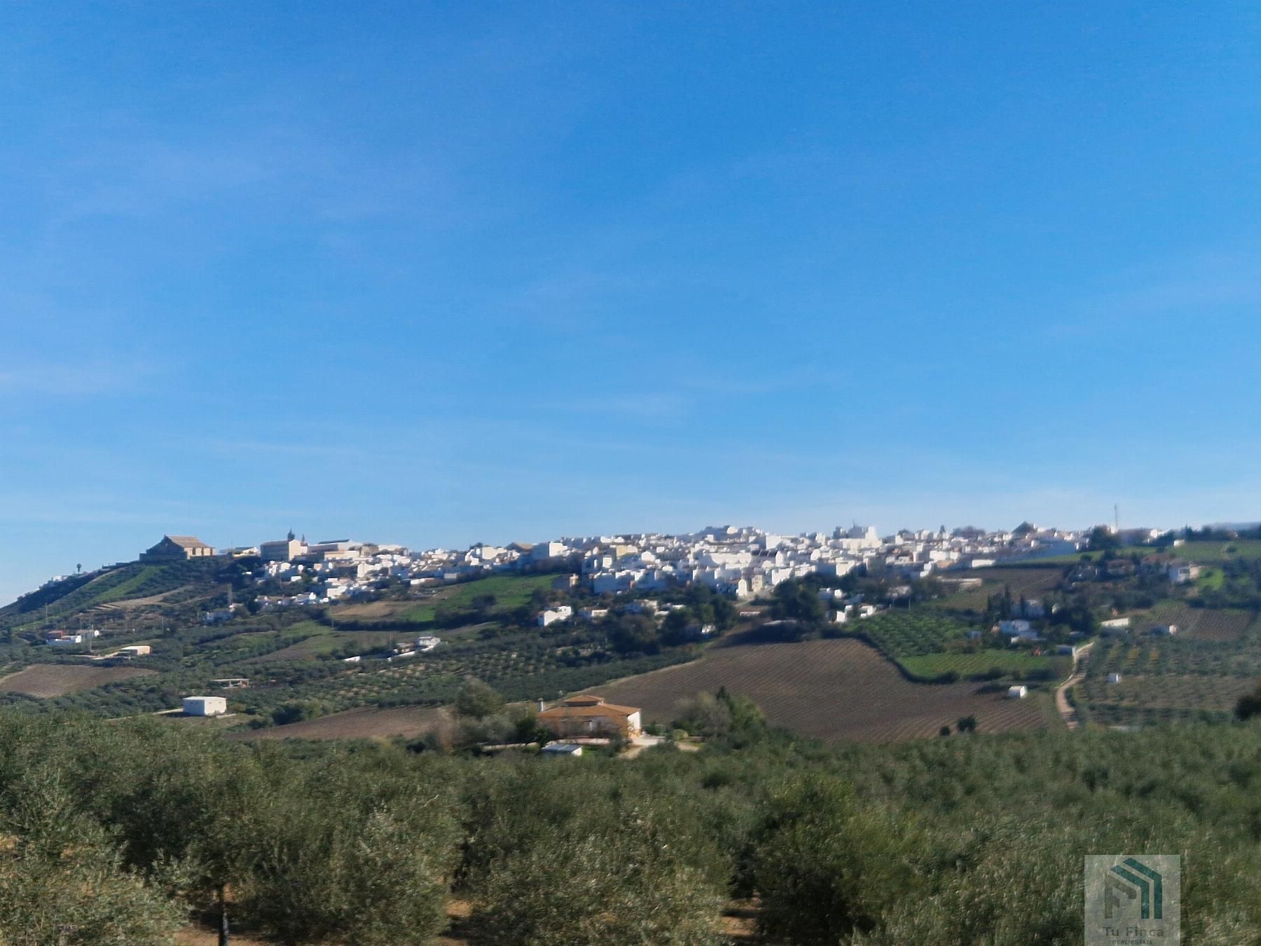 Exterior view of Residential for sale in Montilla