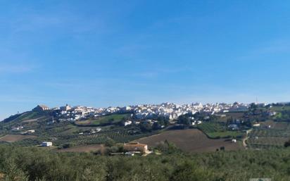 Vista exterior de Residencial en venda en Montilla