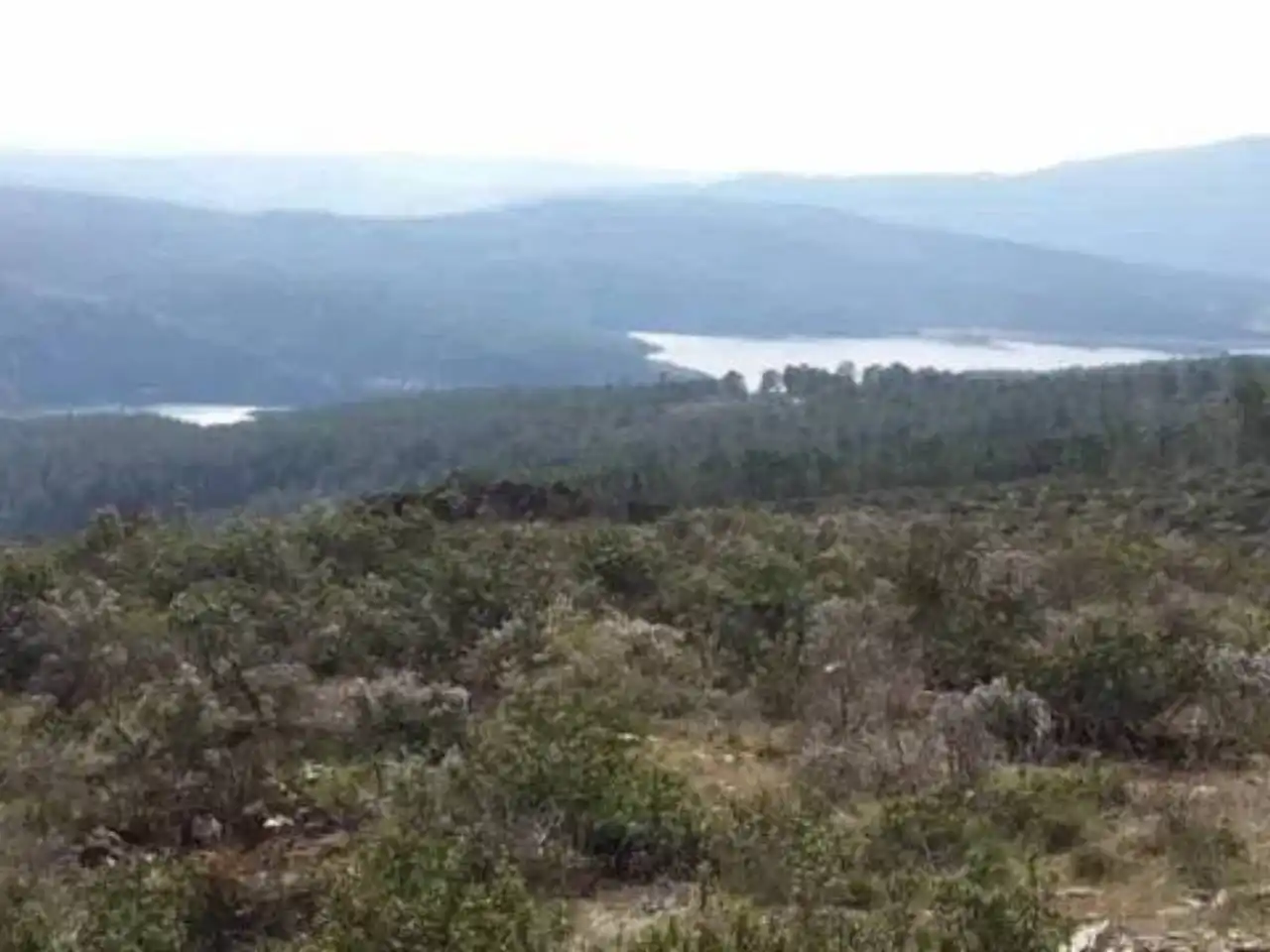 Rural land for sale in Robledillo de la Jara, imagen 8