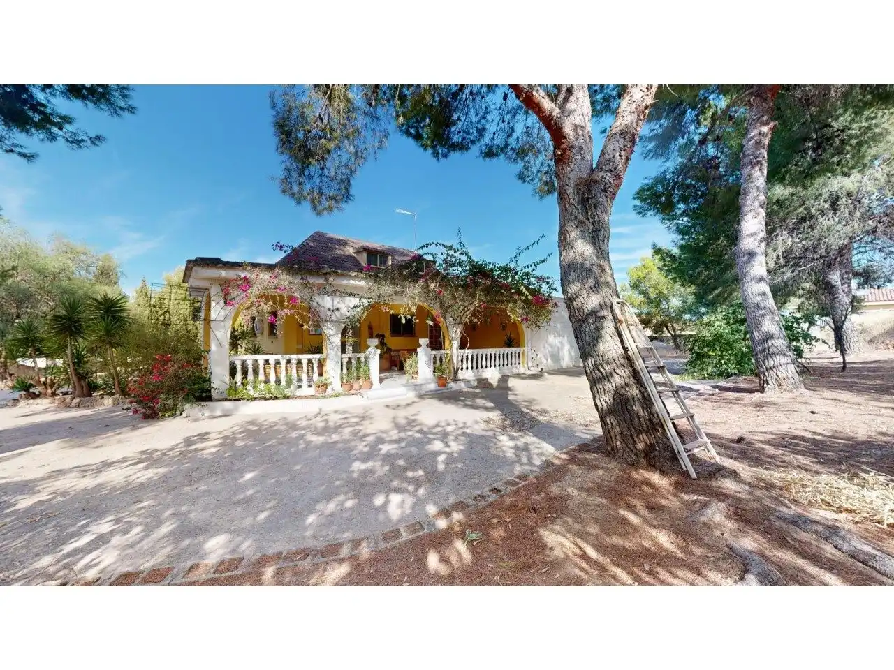 Vista exterior de Casa o chalet en venta en Llíria con Jardín privado, Terraza y Piscina