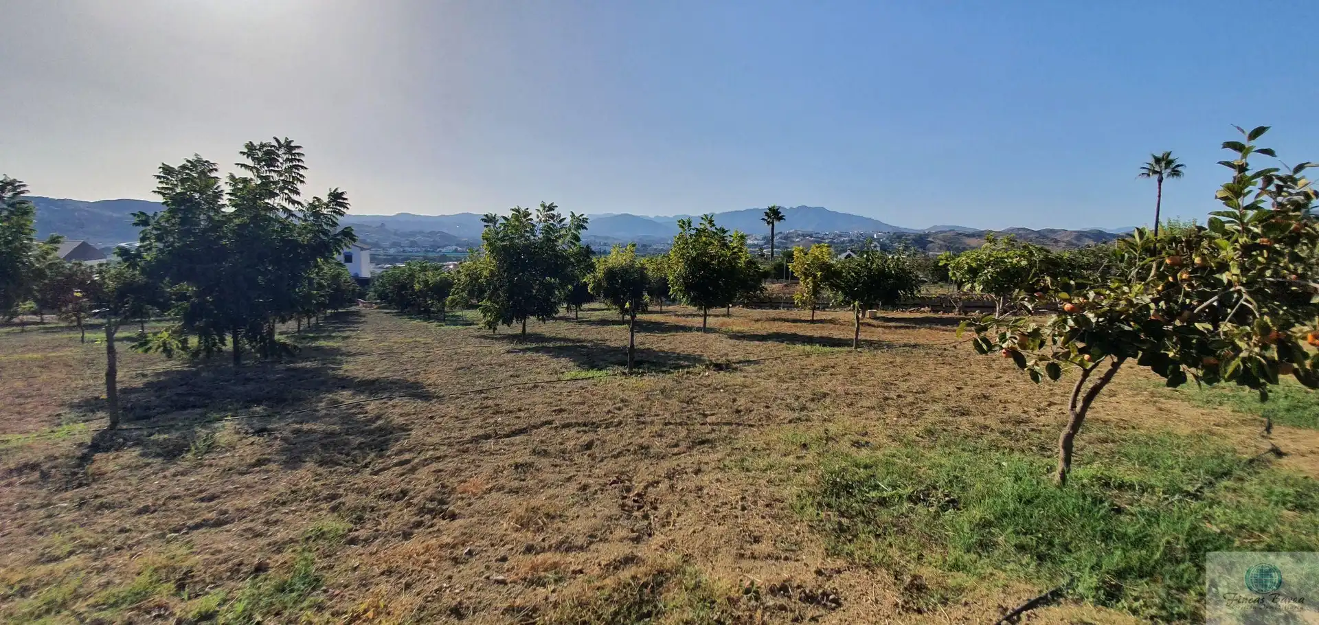 Casa rústica en venda a Campo de Mijas, imagen 29
