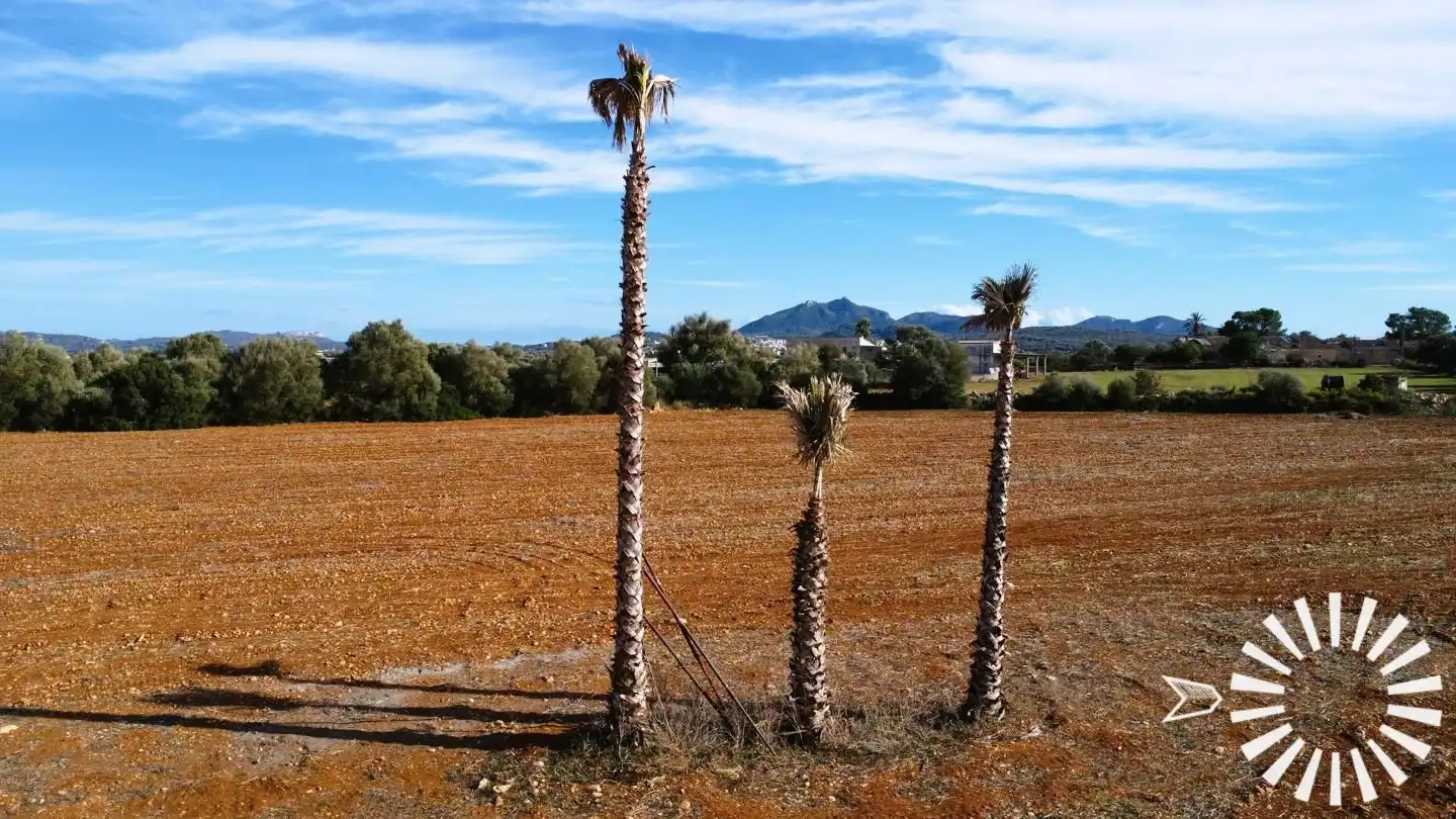 Rural land for sale in Poligono  3 Parcela 167-170, imagen 11
