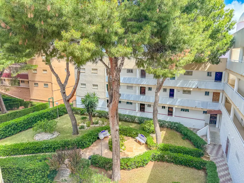 Vista exterior de Apartamento en venta en Pilar de la Horadada con Trastero y Amueblado