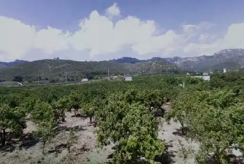 Rural land for sale in C/ El Pla de Gorra, Pol 7, imagen 7