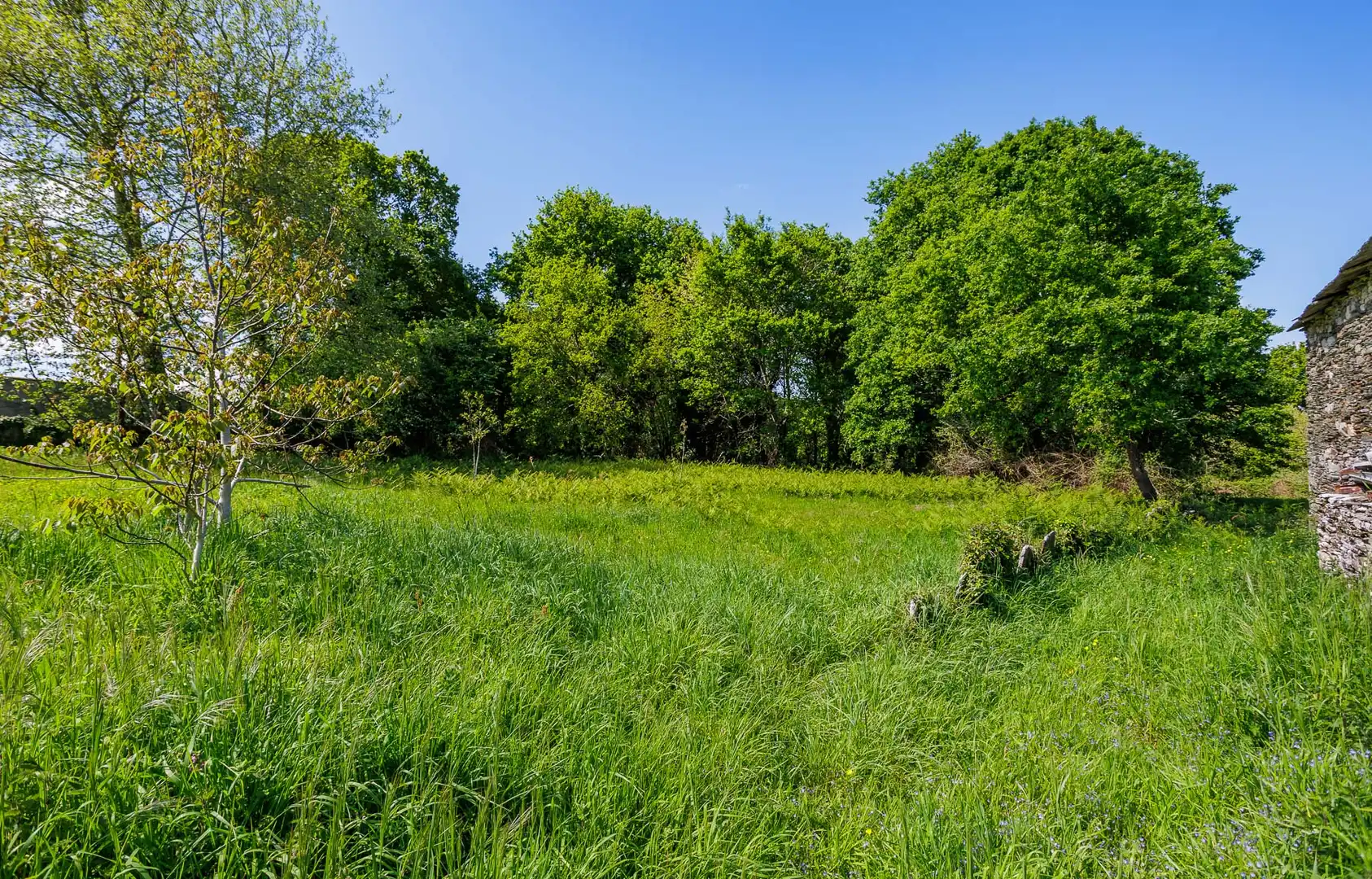 Finca rústica en venta en Outeiro de Rei con Amueblado