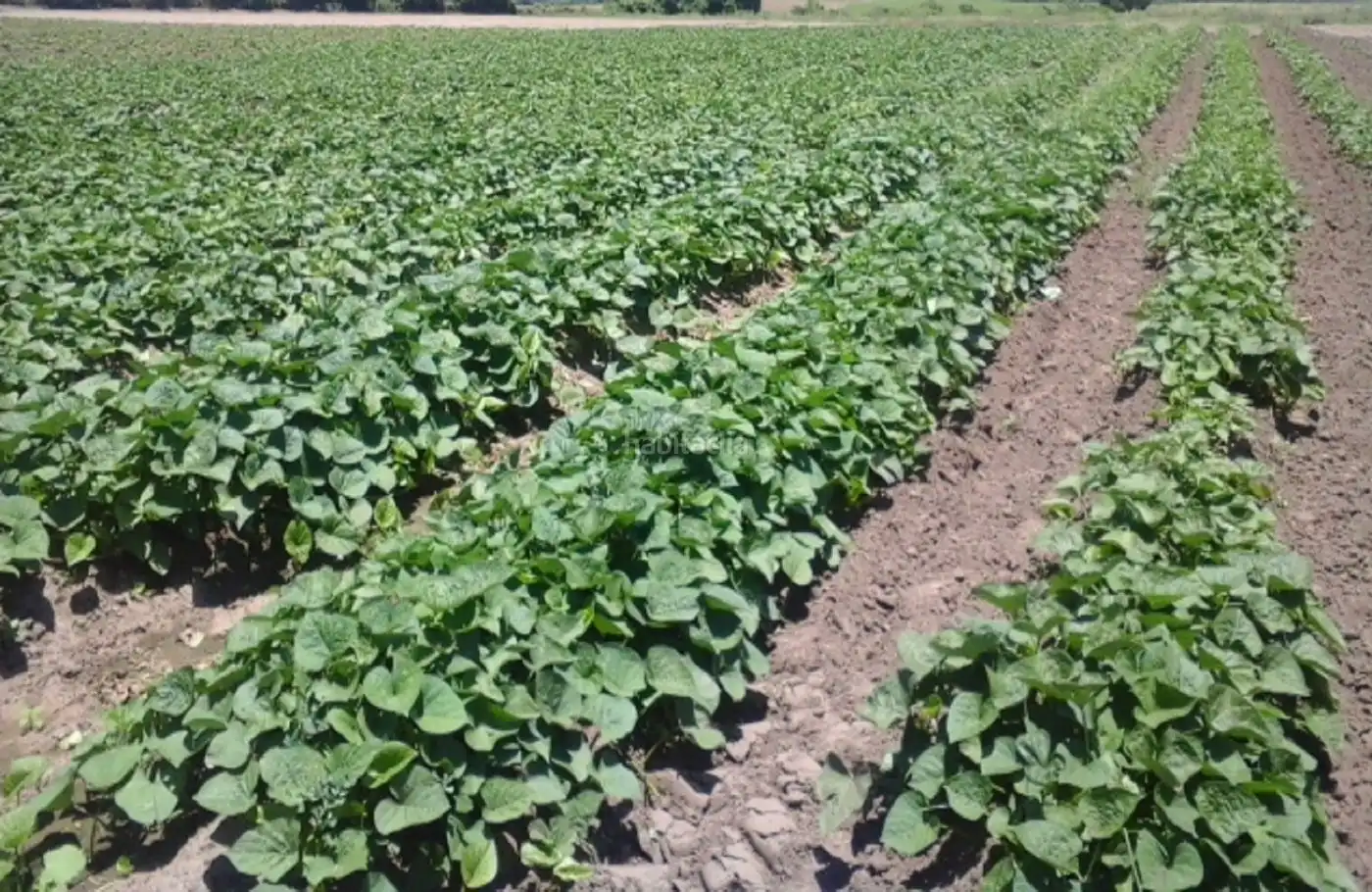 Terrenys i solars en venda a A-332 68, imagen 2