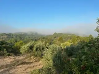 Terreno rústico en venta en Benifallet, imagen 11
