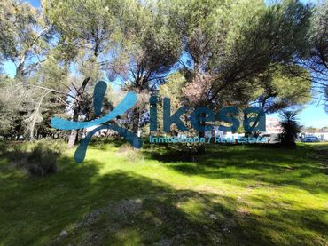 Terreno residenziale in vendita a Periurbano Norte