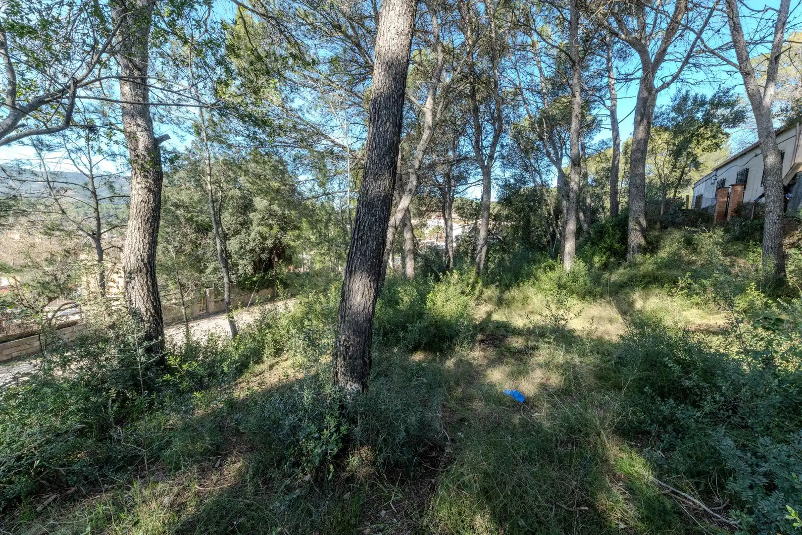Lands and plots for sale in Castellbell i el Vilar, imagen 7