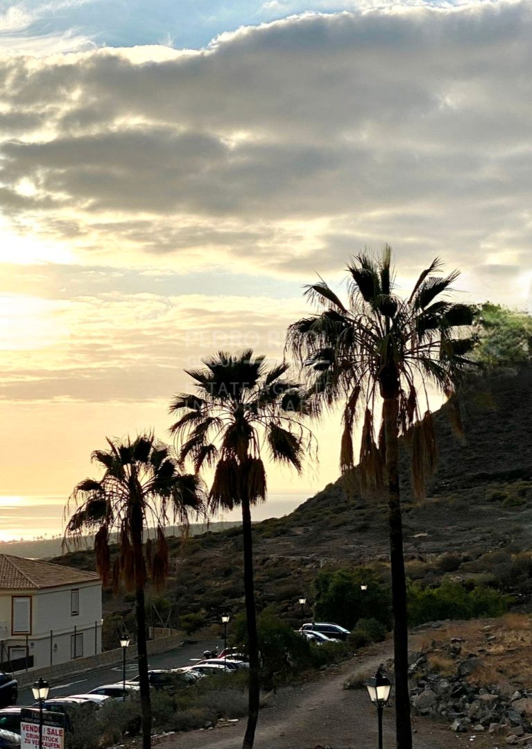 Vista exterior de Casa o xalet en venda en Arona amb Jardí privat, Terrassa i Forn