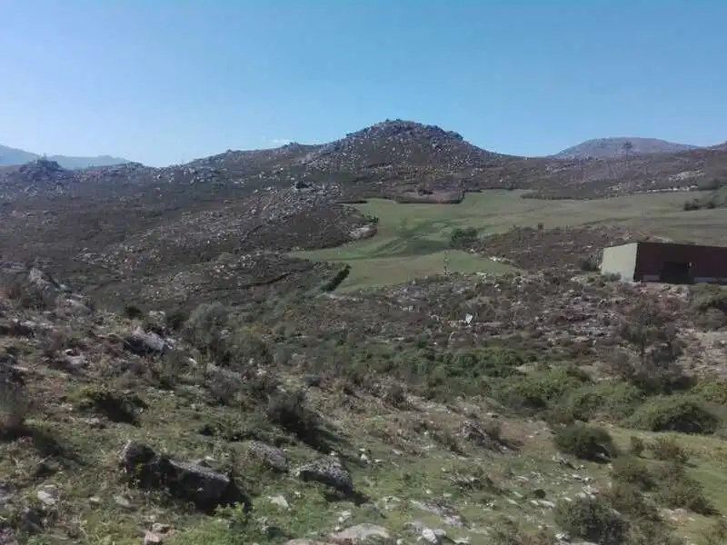 Land for sale in Entrimo