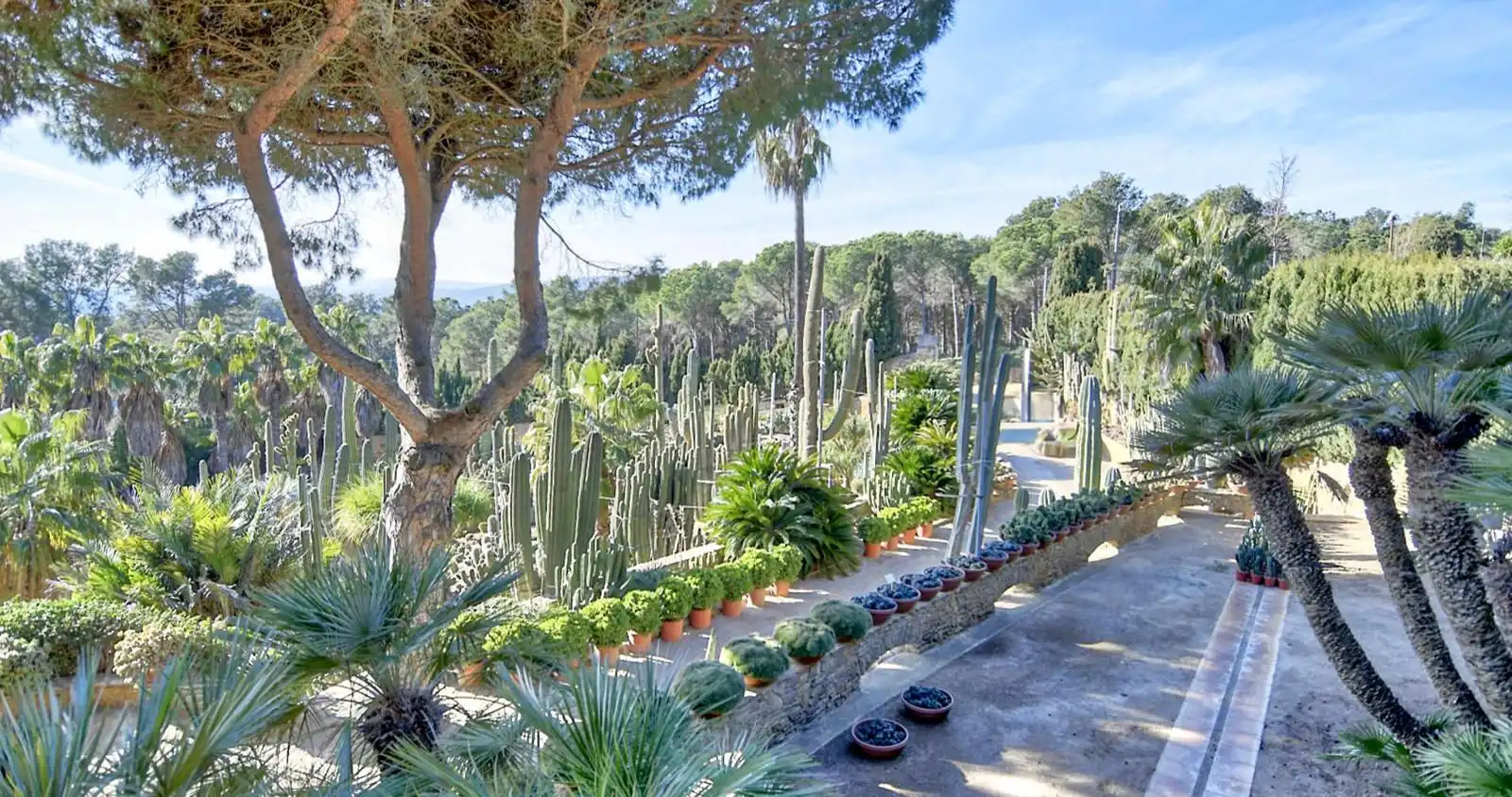 Maison à vendre à Residencial Begur - Esclanyà, imagen 11