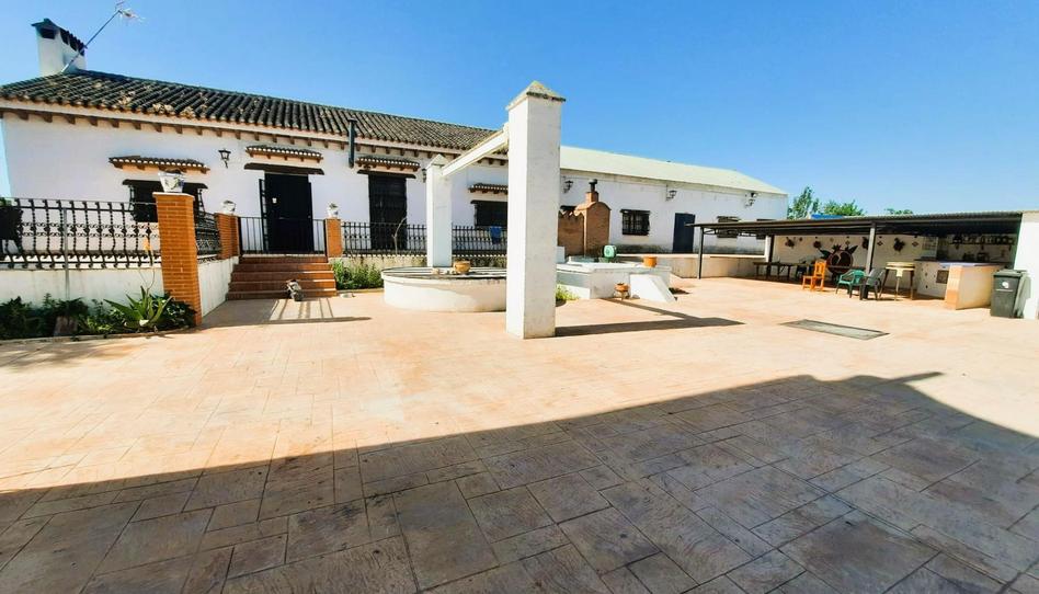 Photo 1 of House or chalet for sale in Rosaleda - Juventud, Granada