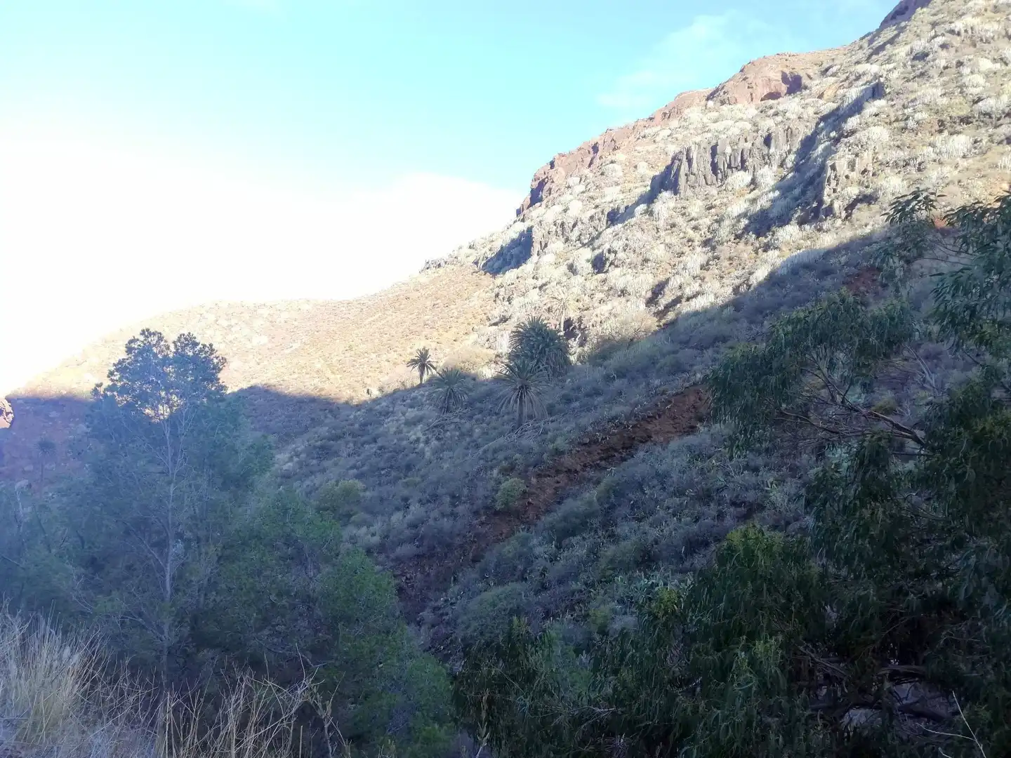 Terreno en venta en Isogue, polígono 7, parcela 39, 1, Punta del Hidalgo