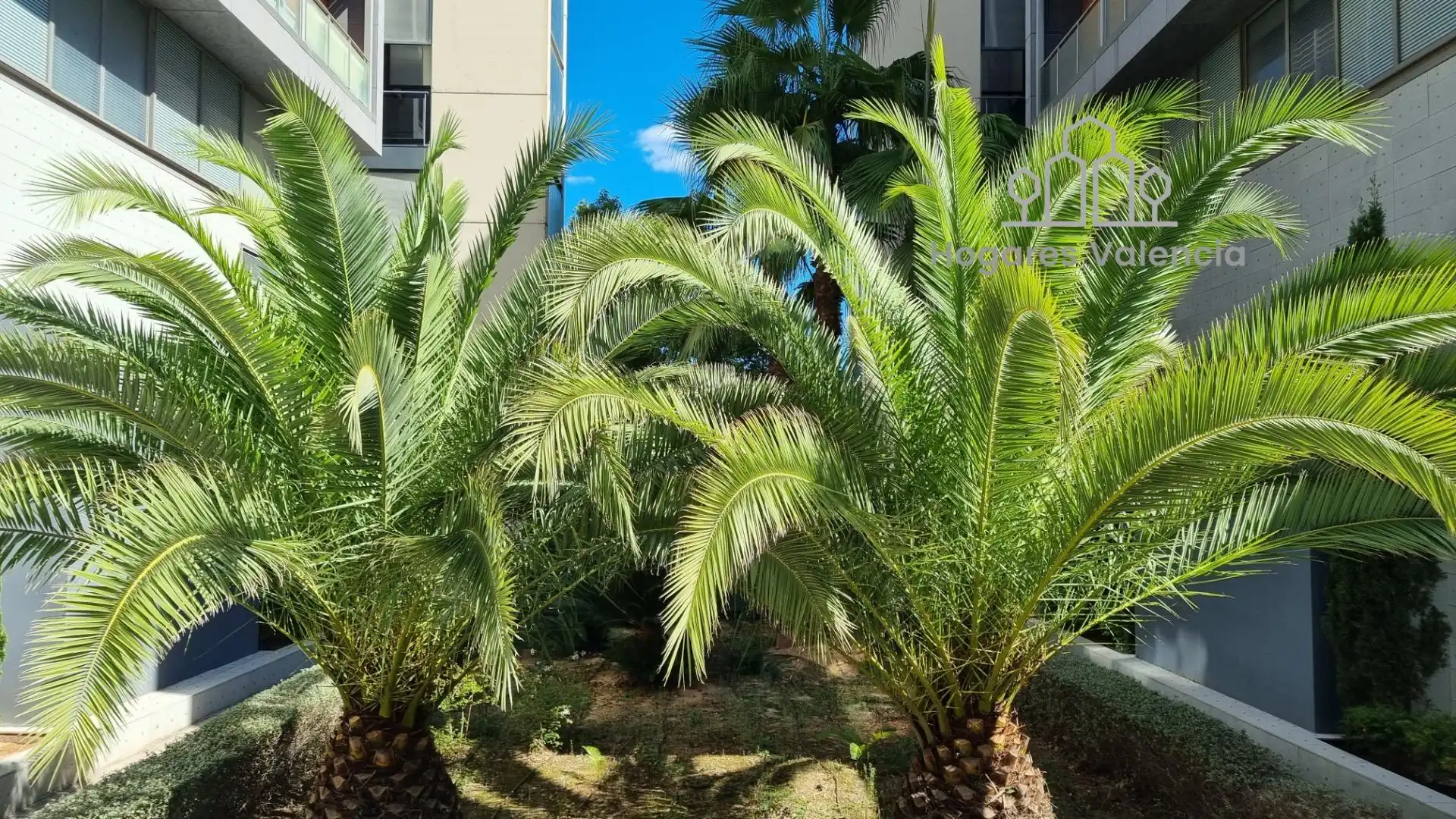 Maisonette mit Pool zum Verkauf in Calle Creu Roja 1, imagen 20