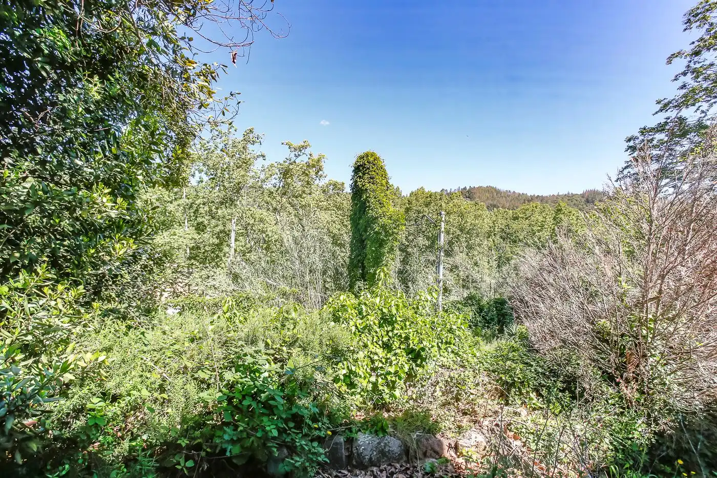 Maison rustique à vendre à Arbúcies, imagen 29