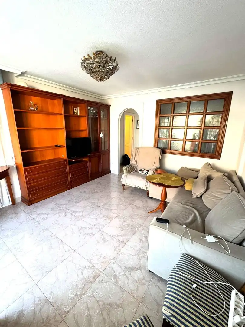 Sala d'estar de Apartament de lloguer en Alicante / Alacant amb Jardí privat, Terrassa i Moblat