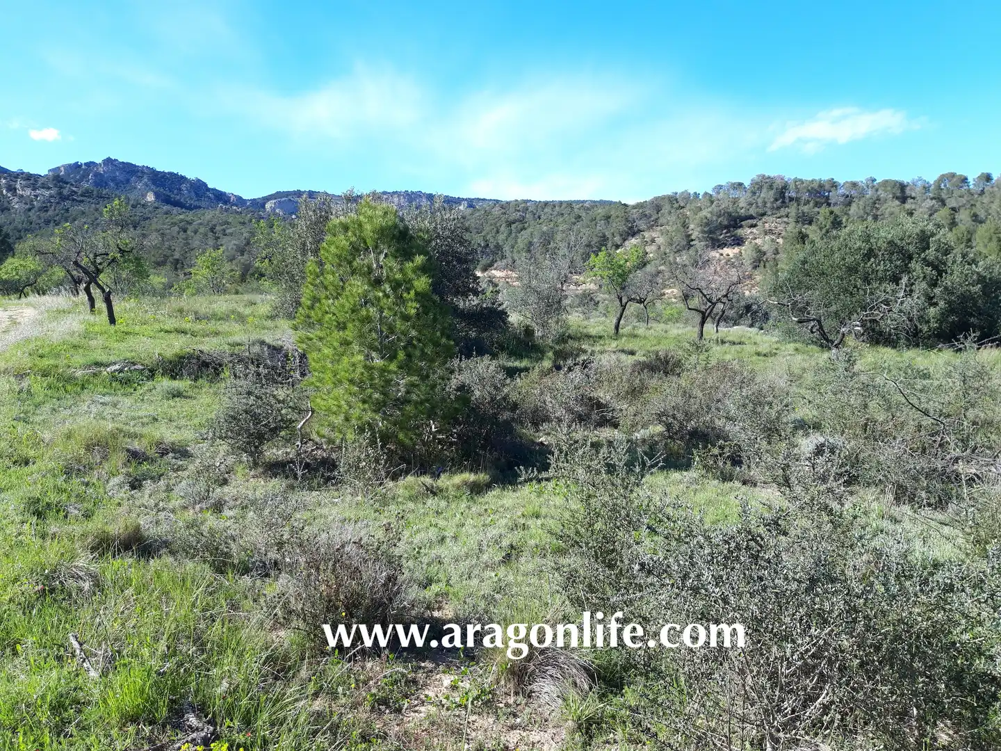 Country homes for sale in El Pinell de Brai