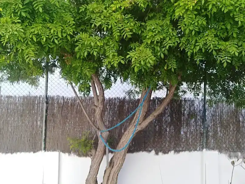 Garten von Wohnung zum Verkauf in Urbasur