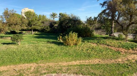 Photo 5 of Premises for sale in Avenida Gola del Puchol, 13, El Saler,  Valencia Capital