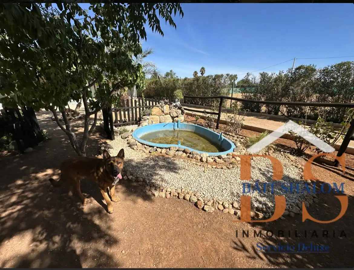 Lands and plots for sale in A-343, imagen 8