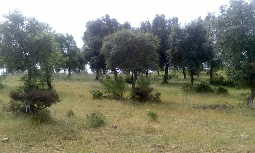 Casa rústica en venda a Valverde del Camino, imagen 15