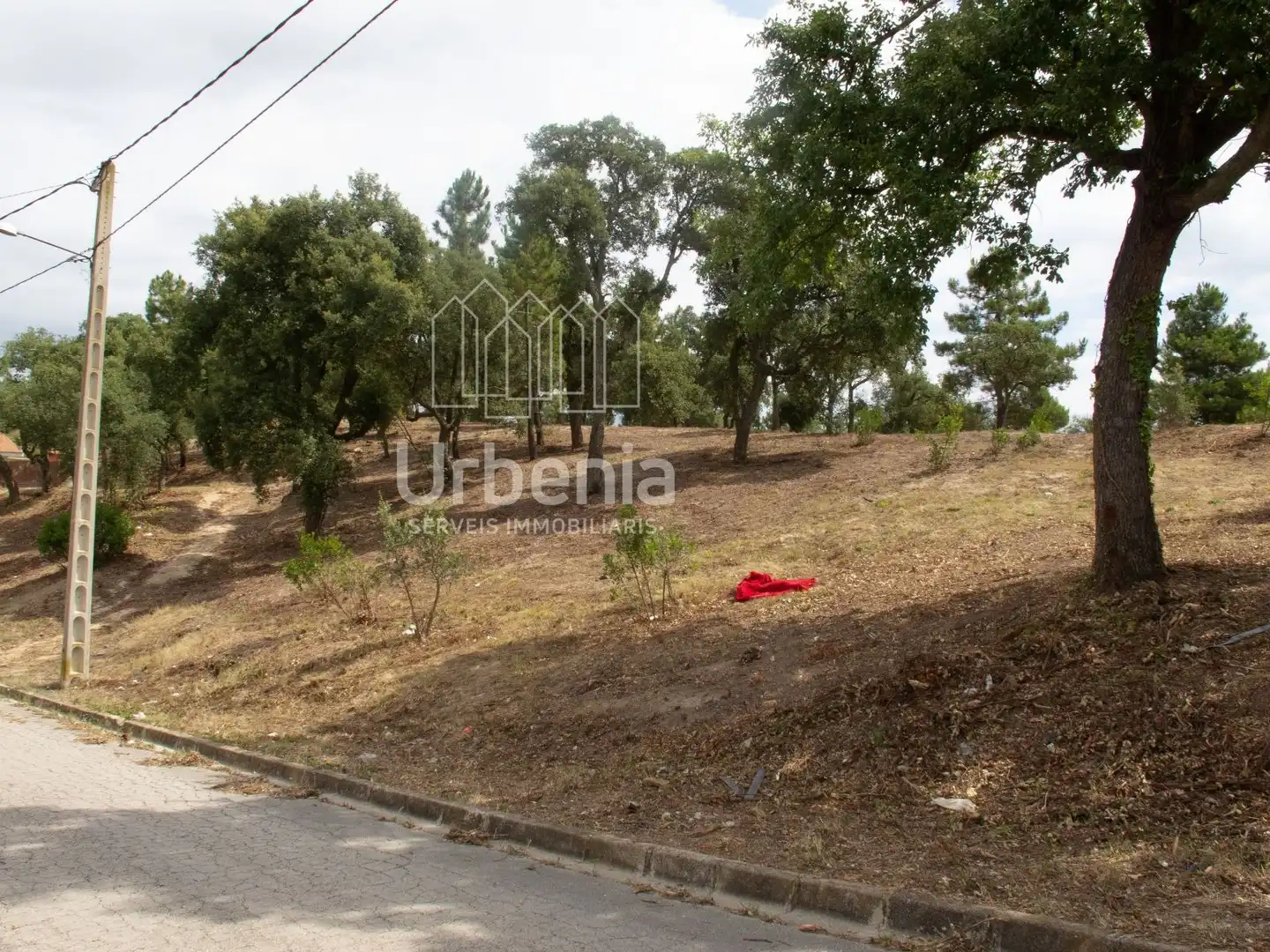 Rural land for sale in Maçanet de la Selva pueblo, imagen 6