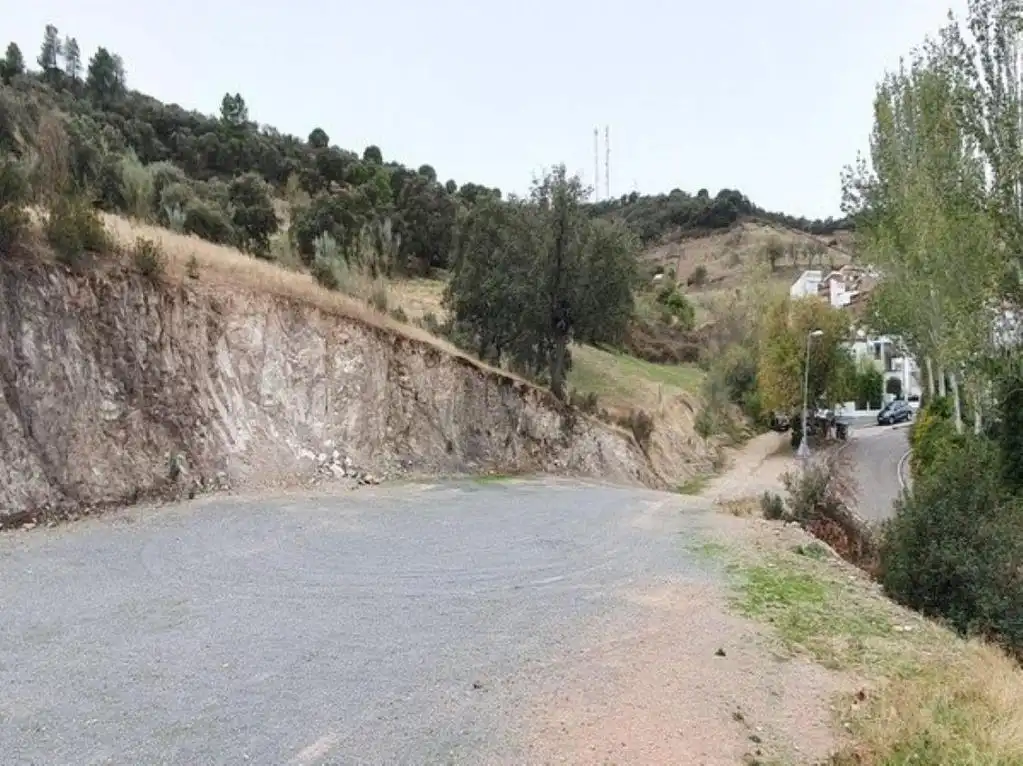 Terreny rústic en venda a VILLANUEVA DE CORDOBA, imagen 9