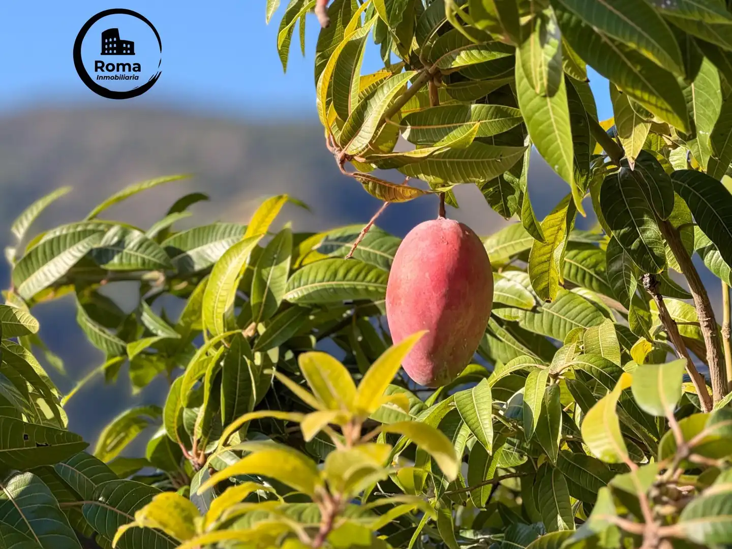 Jardí de Finca rústica en venda en Los Guájares amb Terrassa i Traster