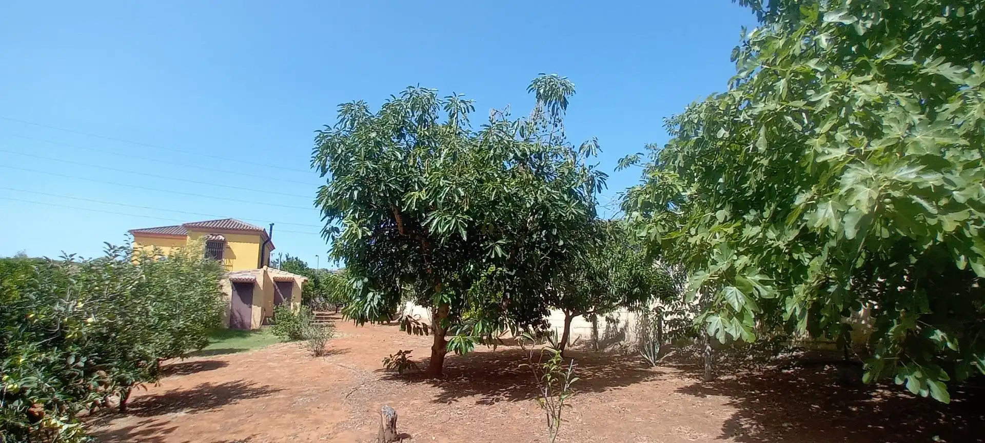 Casa o chalet en venta en San Roque Pueblo
