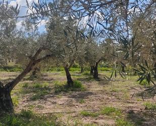 Land for sale in Sorbas