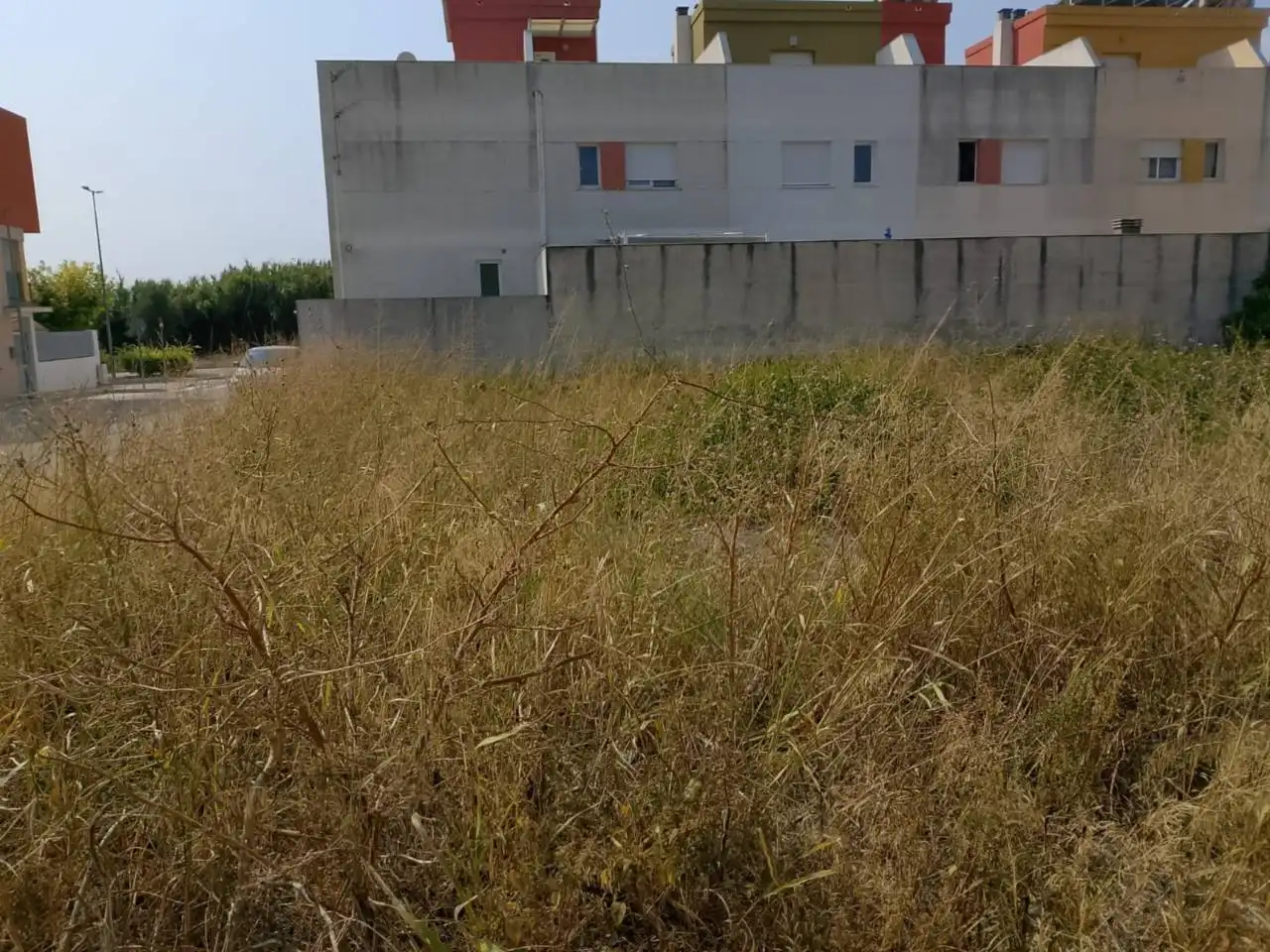 Land for sale in Calle Botánico Cabanilles, Piles